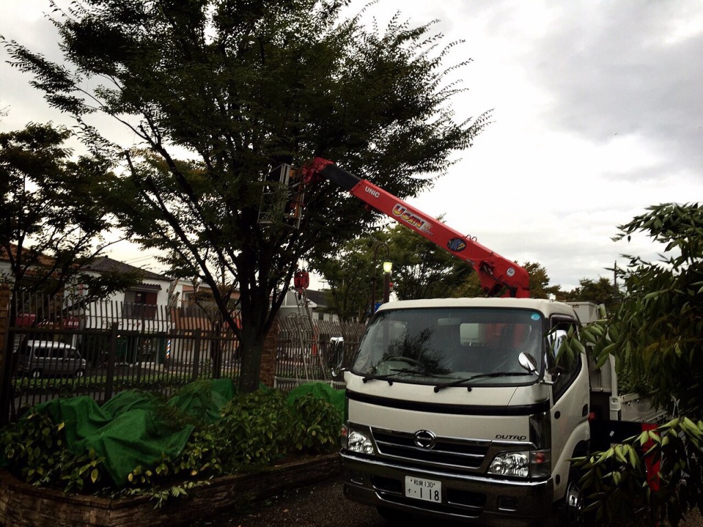 大阪　堺市　老人福祉施設の庭の管理・手入れ（植木の剪定）