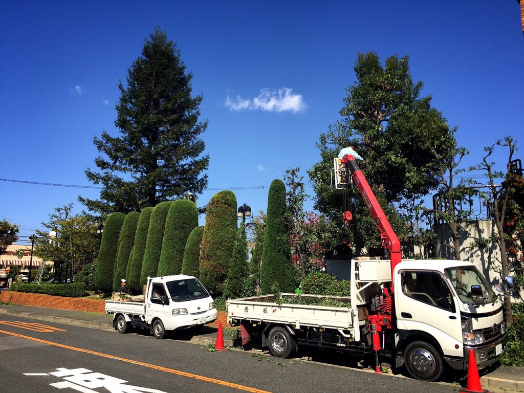 大阪　堺市中区　結婚式場の庭の手入れ、植木の剪定