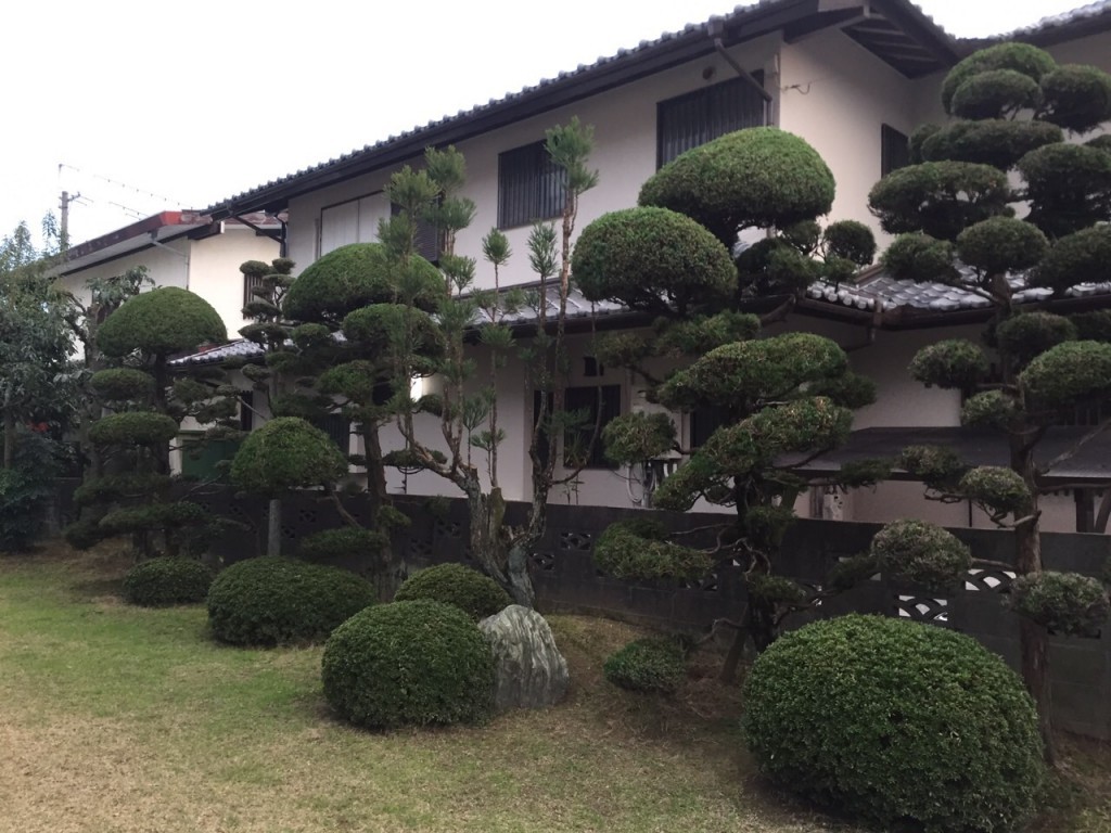 大阪　豊中市　庭の管理、植木の剪定