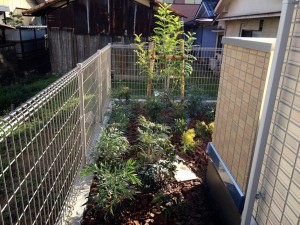 大阪　富田林市　マンション、集合住宅の植栽工事（植木の植え付け）