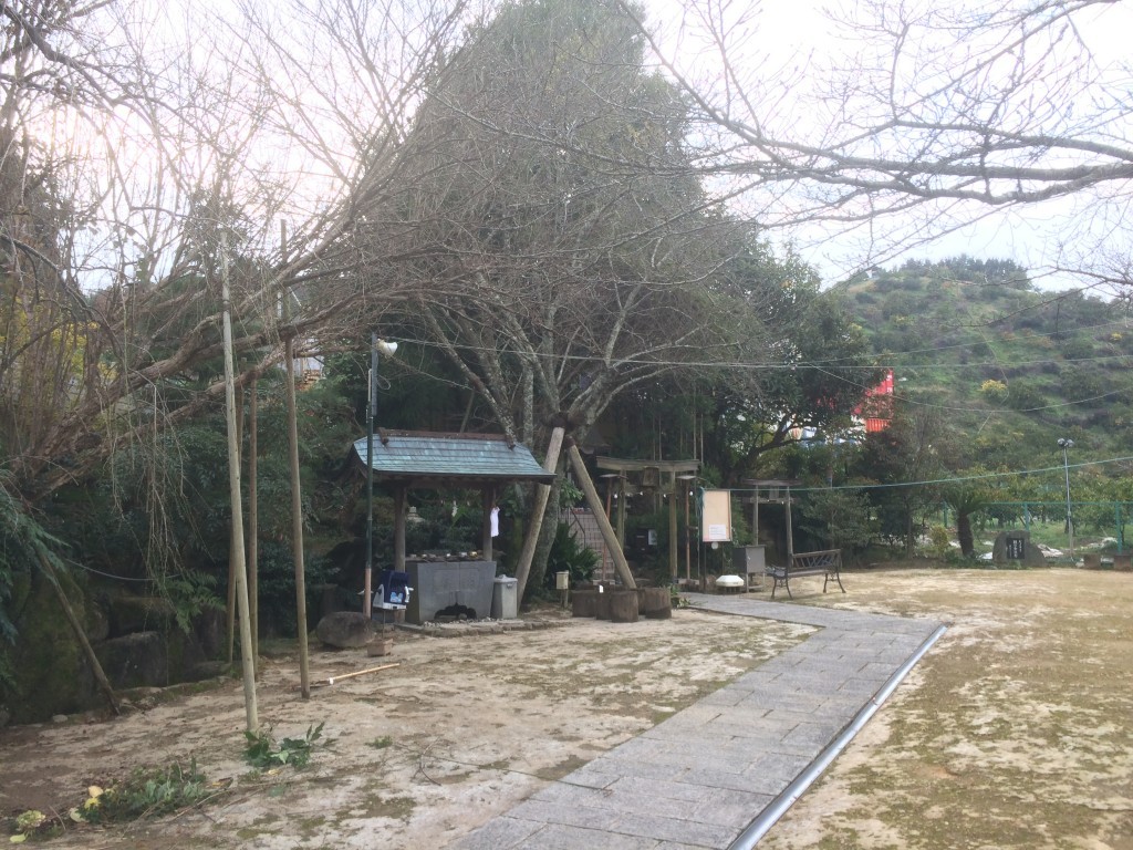 大阪　和泉市　お寺の庭の管理、植木の剪定