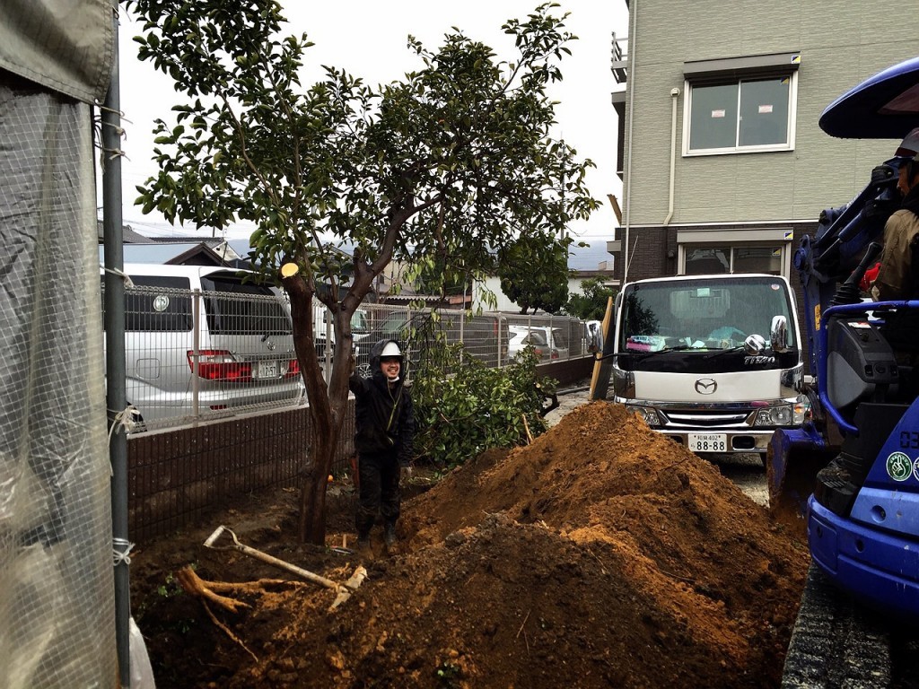 大阪　堺市　吹田市　店舗（お店）の植栽工事、植木の植え替え