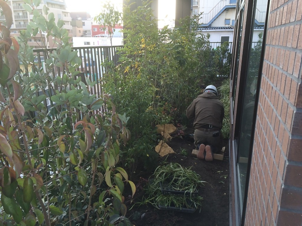 大阪　大阪市　天王寺区　屋上庭園（屋上の庭造り）、植栽工事