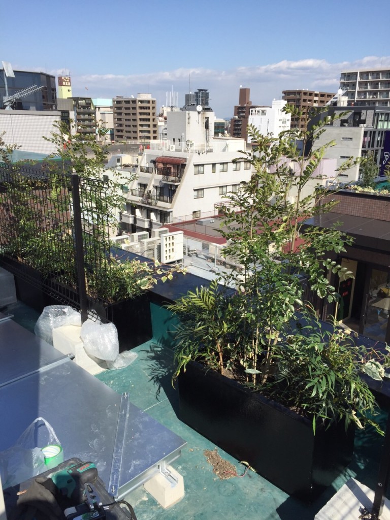 大阪　大阪市天王寺区　屋上プランター植栽工事（植木鉢に植木を植える作業）