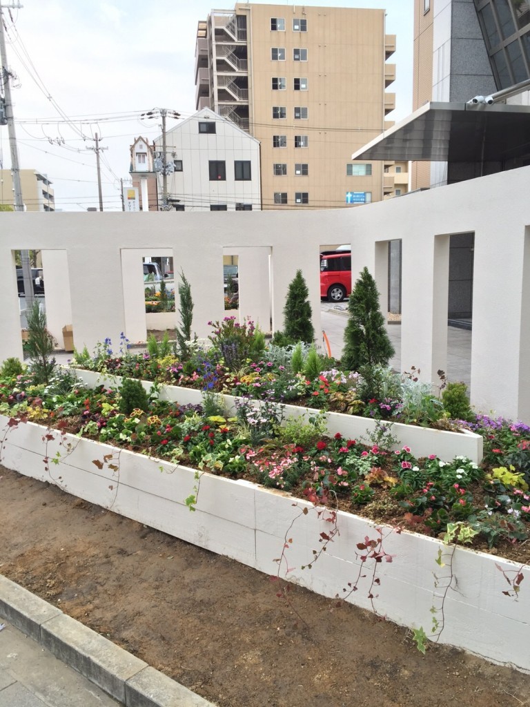 大阪　東大阪市　オフィス玄関前のガ－デニング、植栽工事、花の植え付け