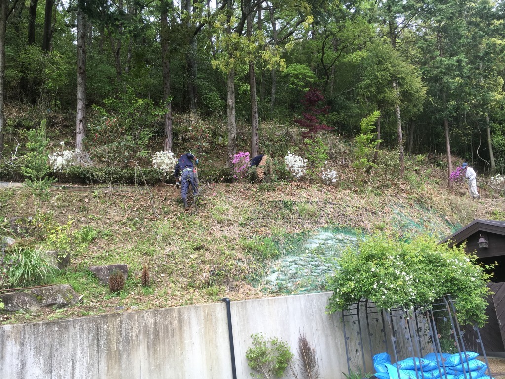 大阪　南河内郡　花の名所つくり、庭造り（ツツジ、ハナミズキ、アーモンド、アジサイなど植え付け）