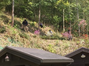 大阪　南河内郡　花の名所つくり、庭造り、植栽工事（サクランボ、ヤマボウシ、ハクサンボクなど植え付け）