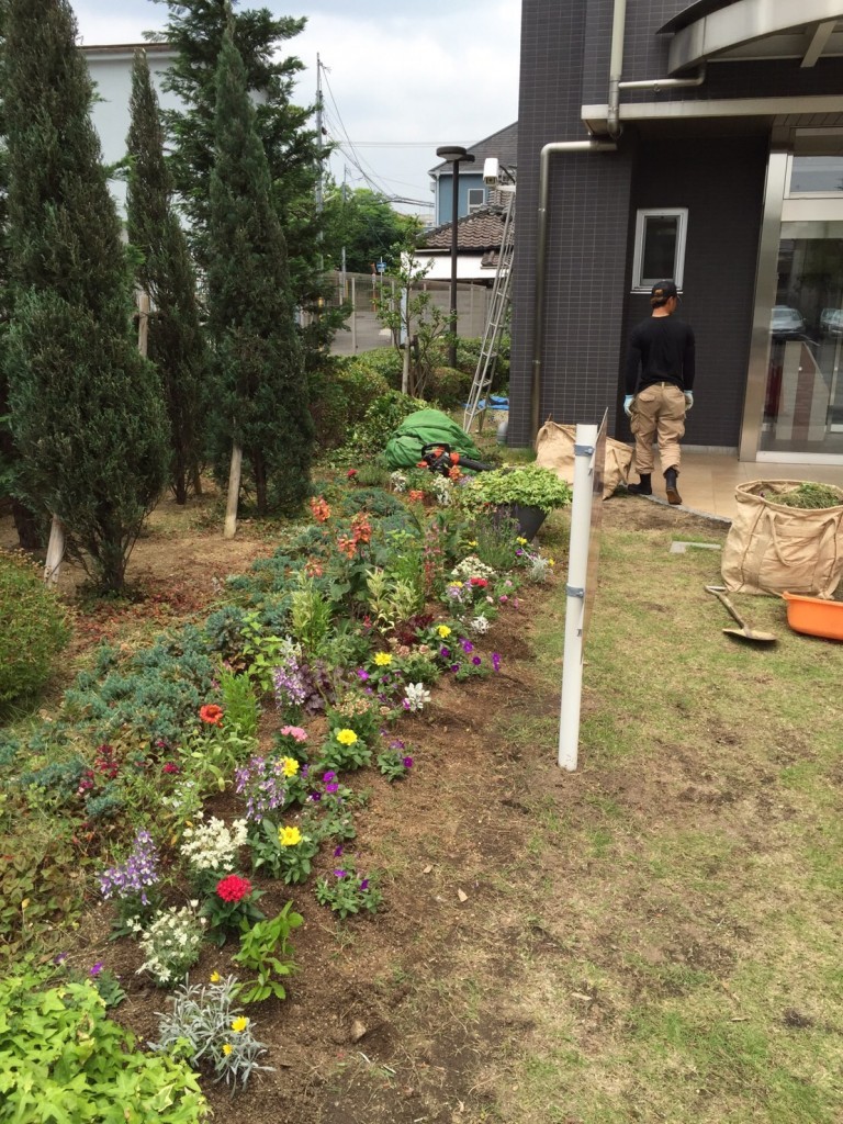 大阪　堺市堺区　マンションの管理、植木の剪定、花の植え付け