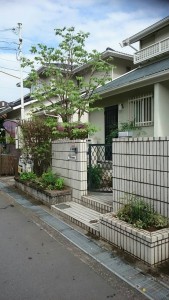 大阪　富田林市　植木の剪定、花壇の植木の植え替え