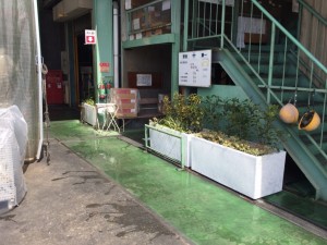 大阪　堺市美原区　プランターの植木の植え付け、植栽工事