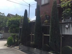 大阪　和泉市いぶき野　洋風の庭、植木の剪定