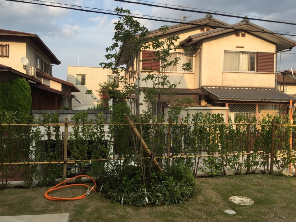 奈良　奈良市　雑木の庭造り