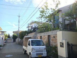 兵庫　芦屋市　雑木の庭、庭の管理、自然風透かし剪定