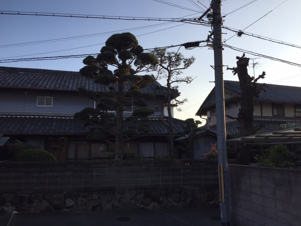 大阪　羽曳野市　和風の庭、庭の管理