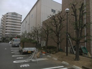 大阪　大阪市平野区　メモリアルホールの庭の管理、植木の剪定