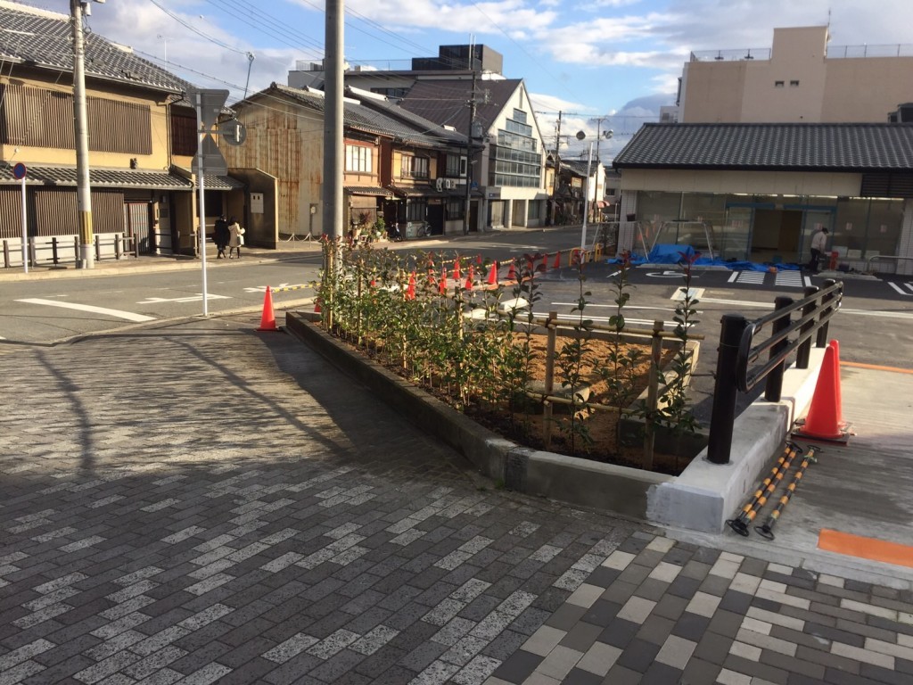 京都　京都市　お店の植栽工事（常緑ヤマボウシ株立、レッドロビン生垣）