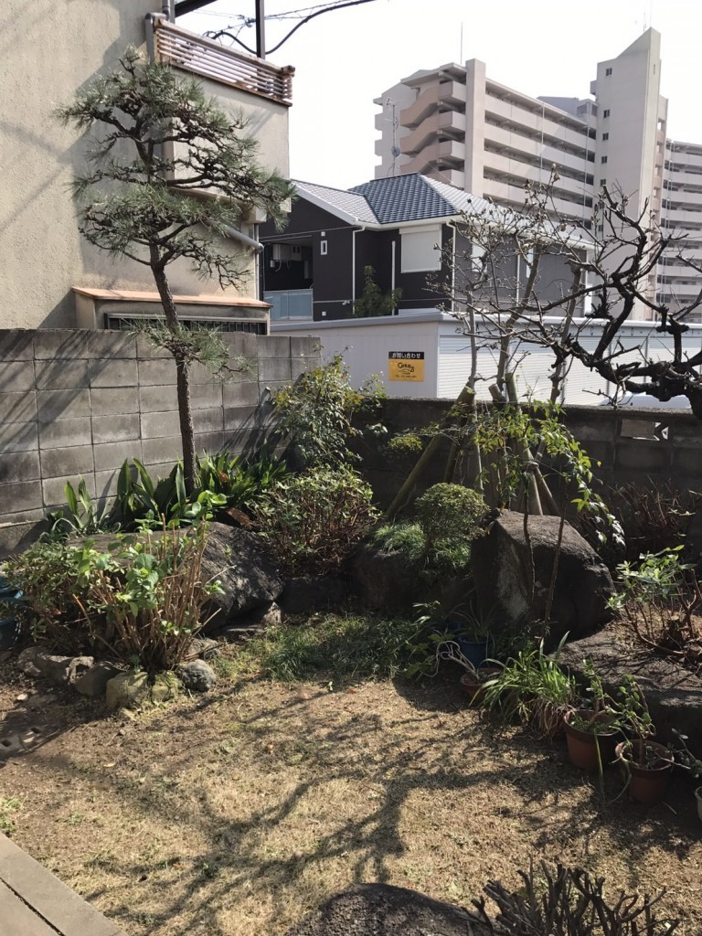 大阪　高石市綾園　庭の管理、植木の剪定