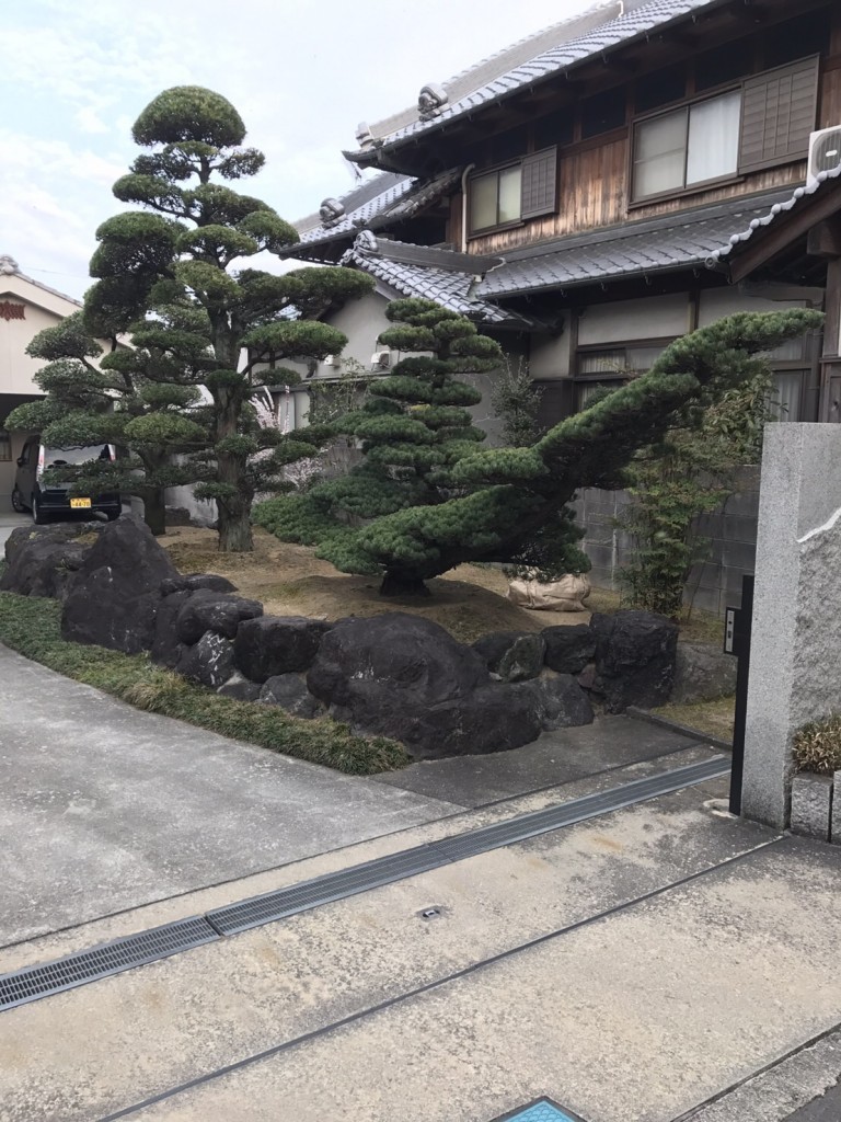 大阪　堺市美原区　庭の管理、植木の剪定