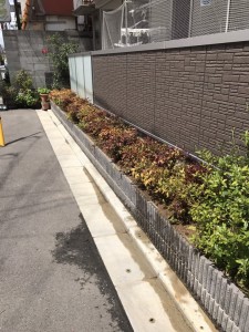 大阪　東大阪市　植栽工事、植木の植え付け