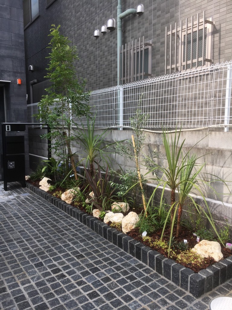 大阪 堺市で植木生産販売 庭造り 外構工事 エクステリア 観葉植物レンタルなら 植忠 Part 10